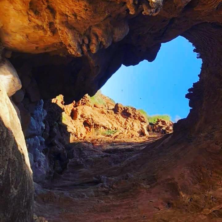 Le Petit Jardin Panzió Demnat Kültér fotó